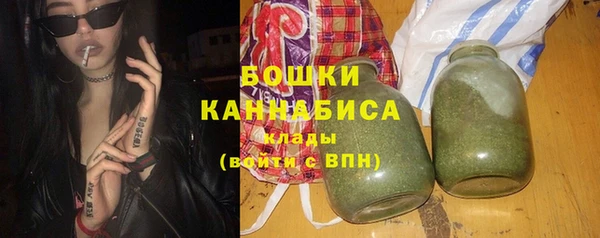 бошки Бронницы