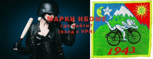 бошки Бронницы