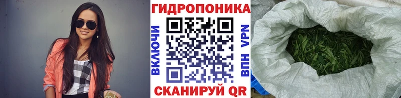 Шишки марихуана марихуана  Горячеводский 